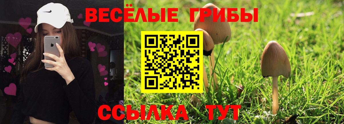 Псилоцибиновые грибы Cubensis Кашира