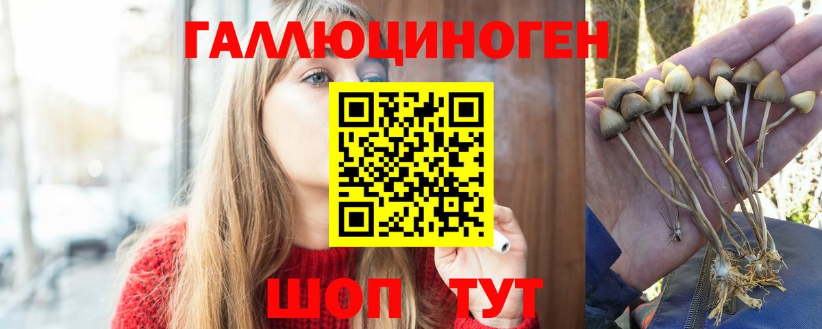 Псилоцибиновые грибы мухоморы  Вход с VPN  Кашира  Галлюциногенные грибы ЛСД 